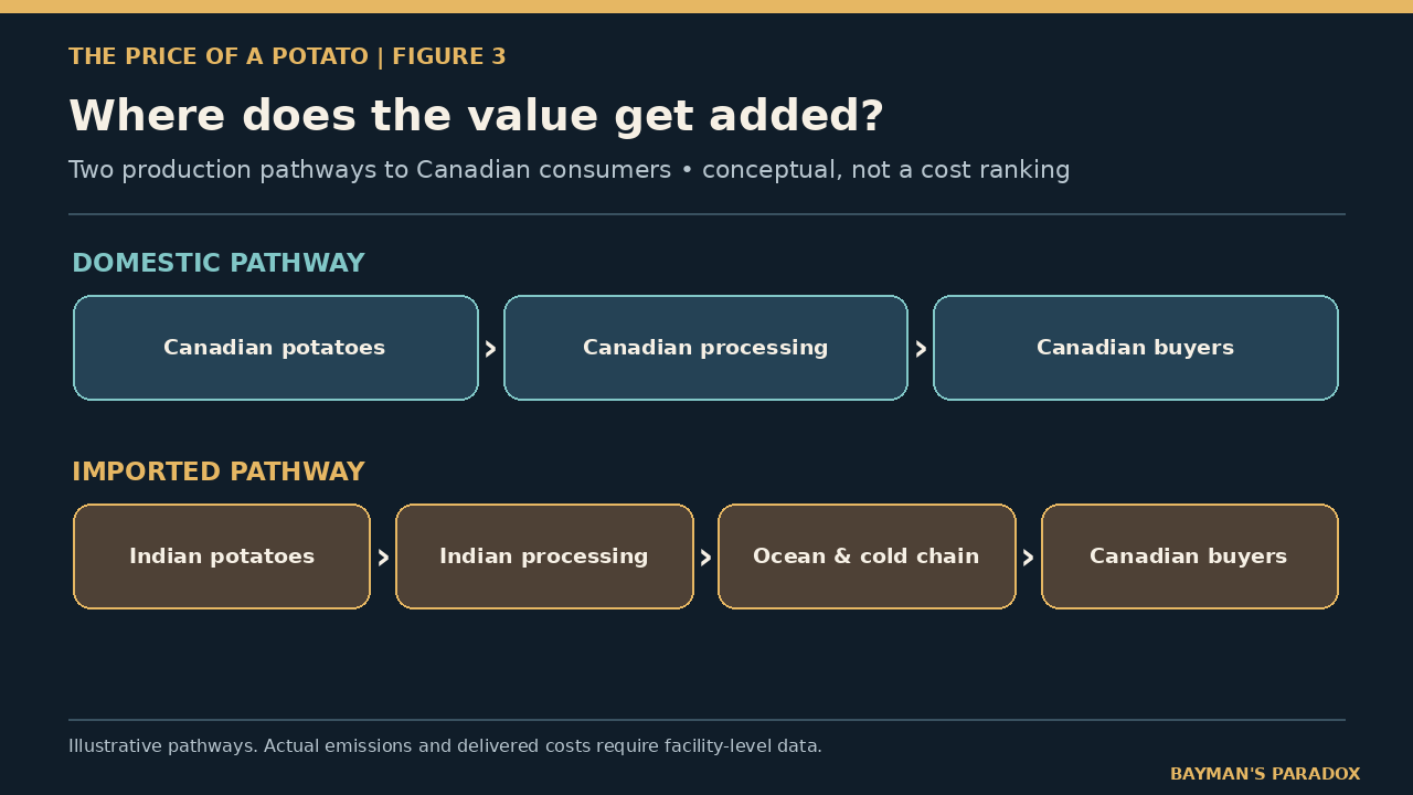 03_processing_pathways.png